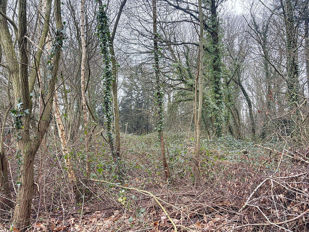 Terrain à LANTIC