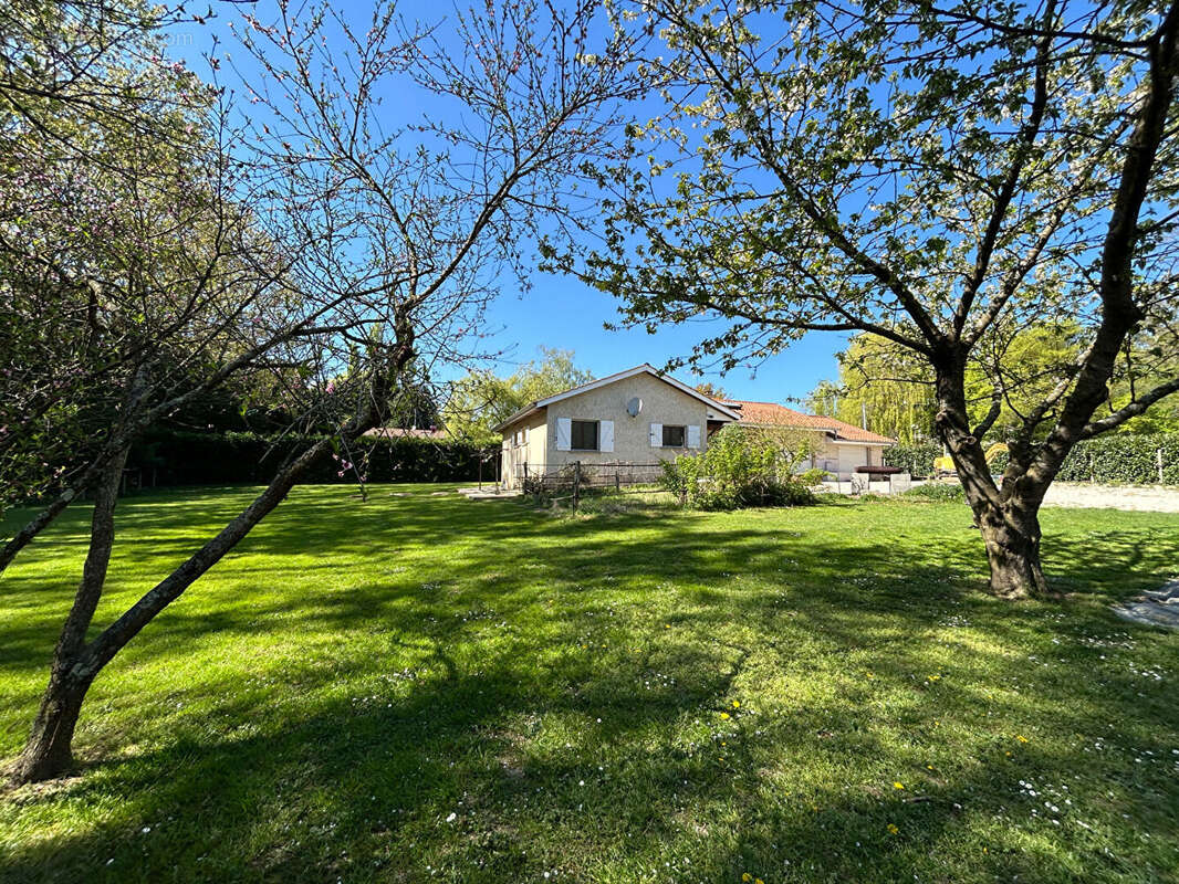 Maison à NEUVILLE-LES-DAMES