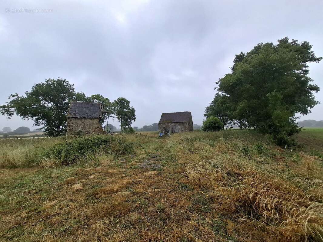 Terrain à ASSE-LE-BOISNE