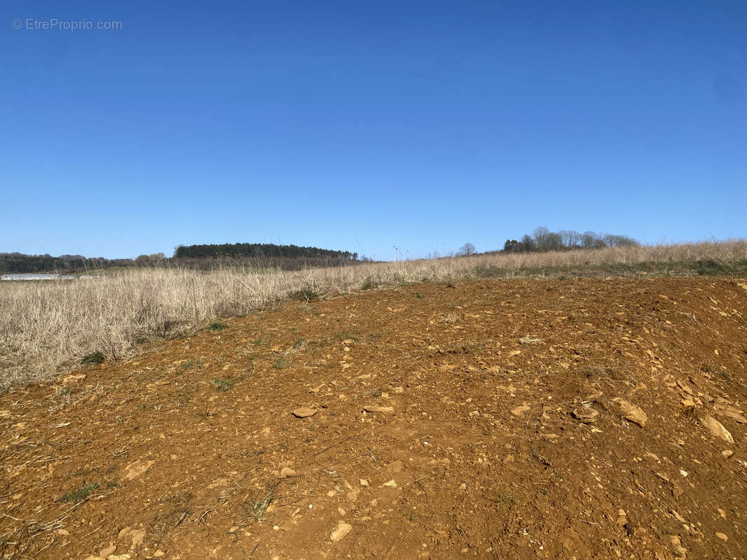Terrain à VOLMERANGE-LES-MINES