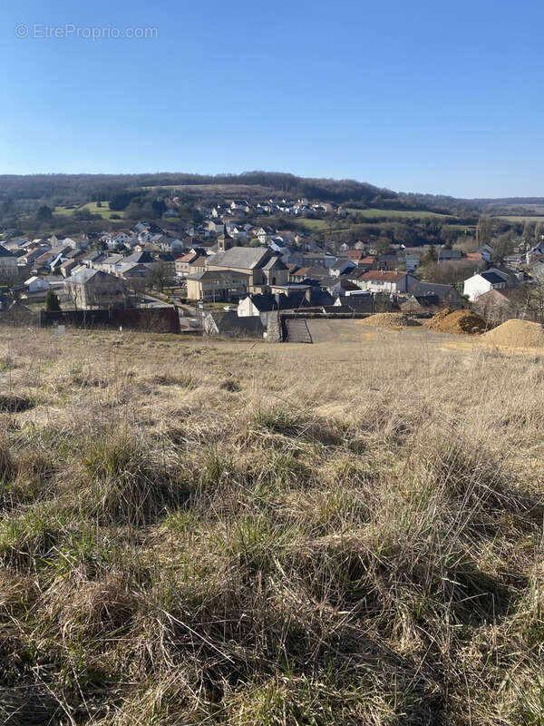 Terrain à VOLMERANGE-LES-MINES
