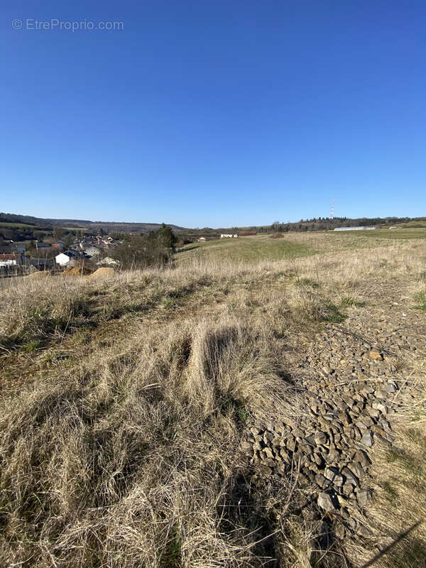 Terrain à VOLMERANGE-LES-MINES