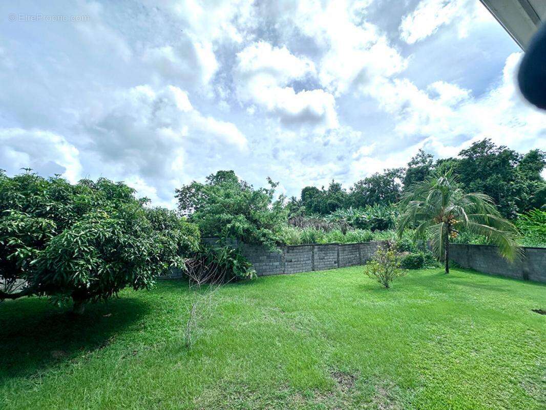 Maison à MORNE-A-L&#039;EAU