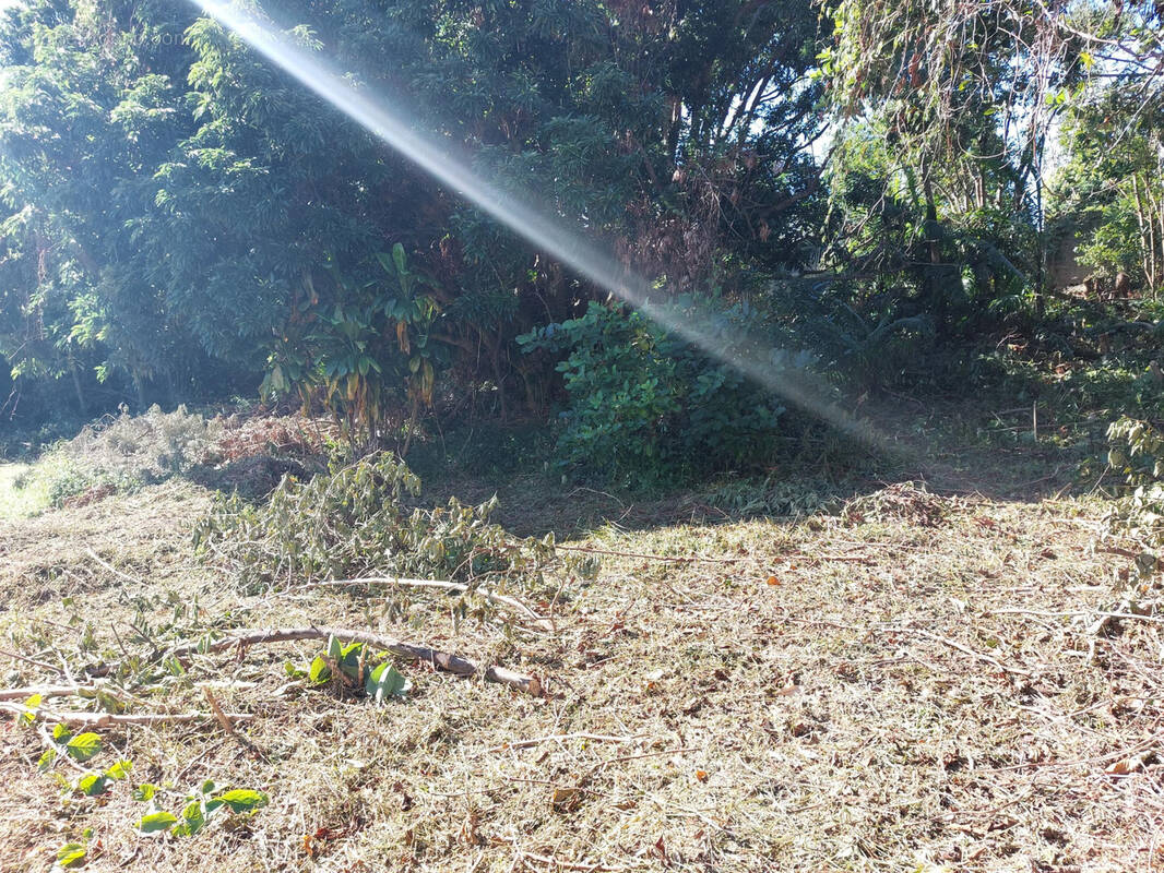 Terrain à SAINTE-MARIE