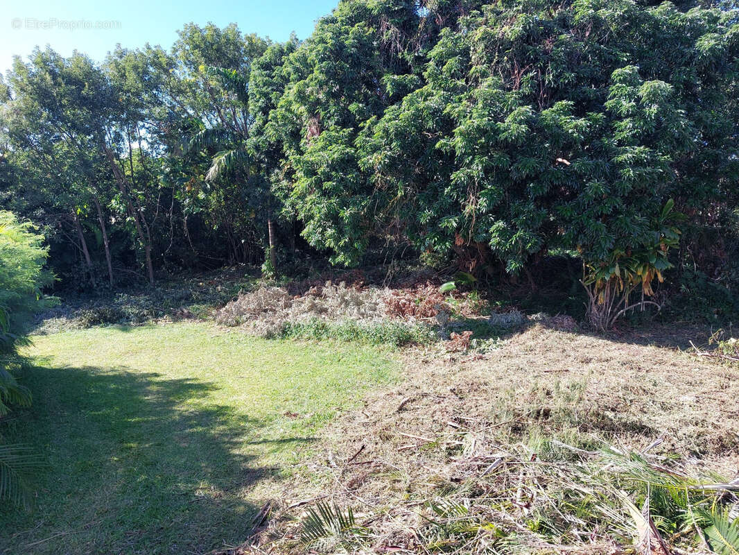 Terrain à SAINTE-MARIE