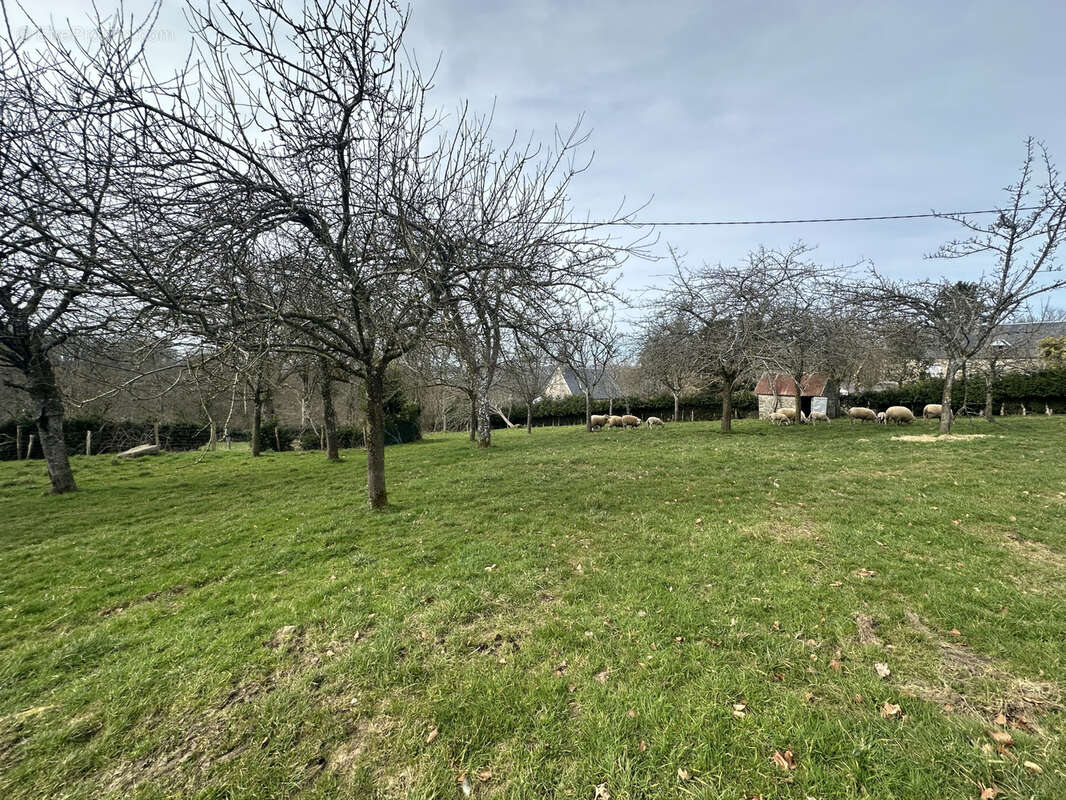 Maison à SAINT-BARTHELEMY