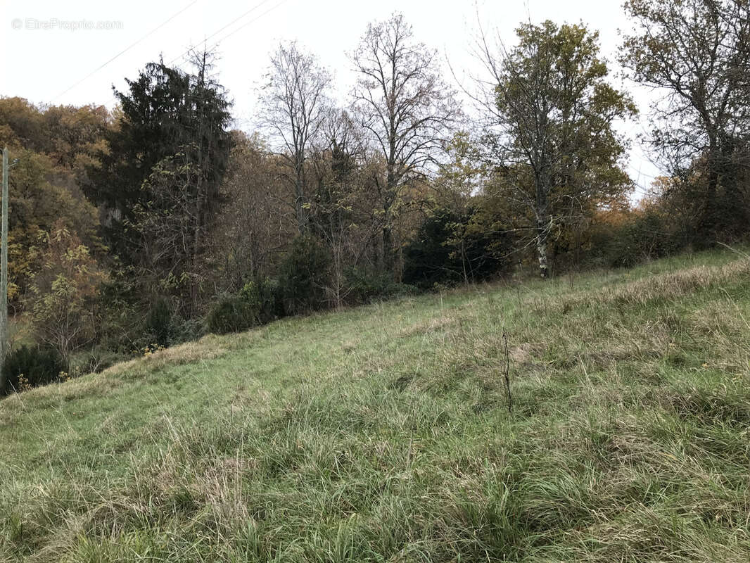 Maison à SAINT-PANCRACE