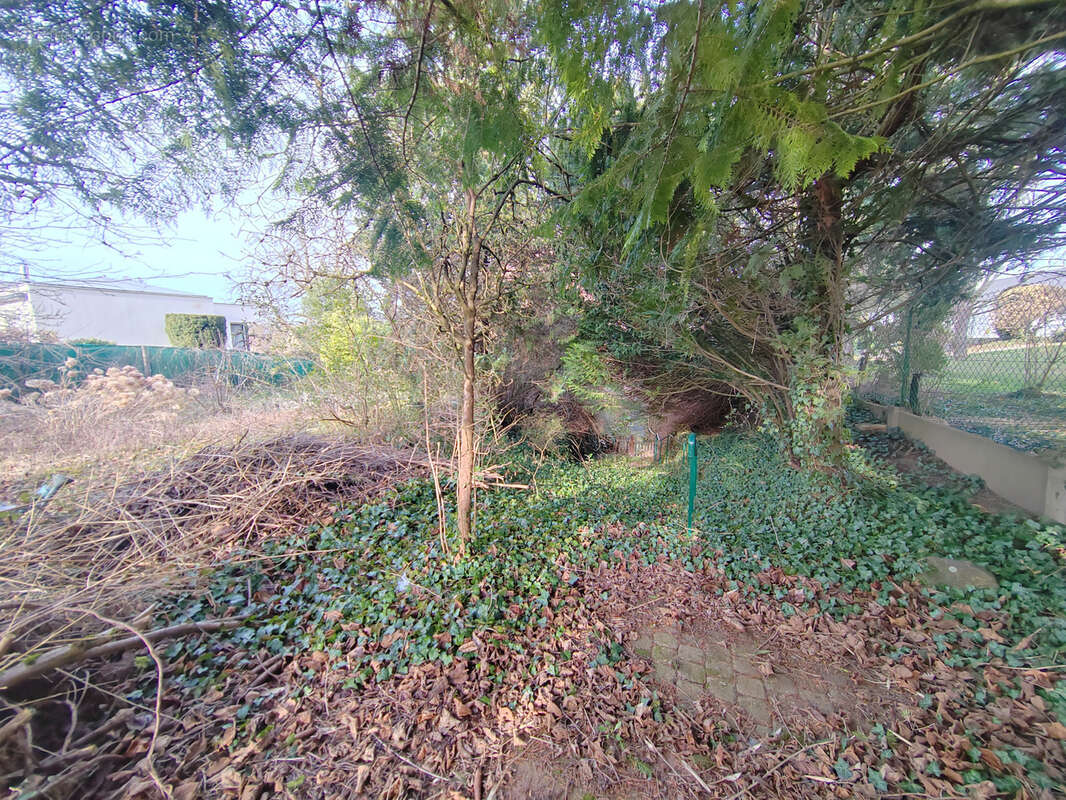 Terrain à RIEDISHEIM