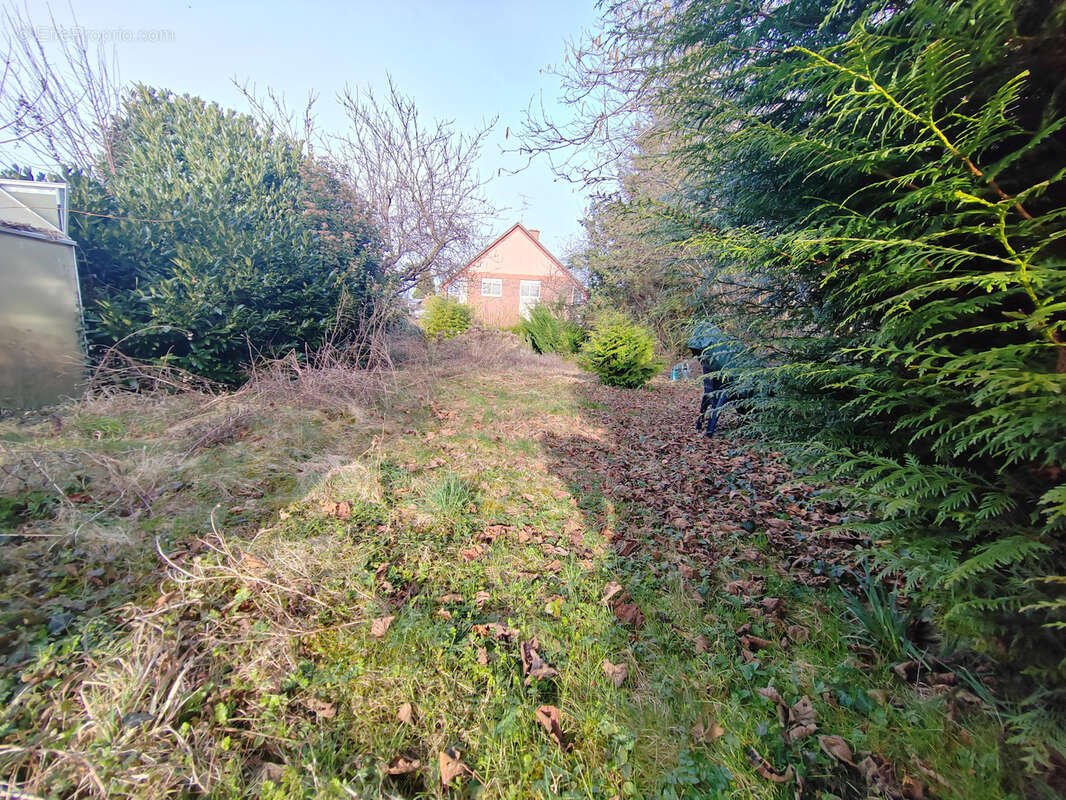 Terrain à RIEDISHEIM