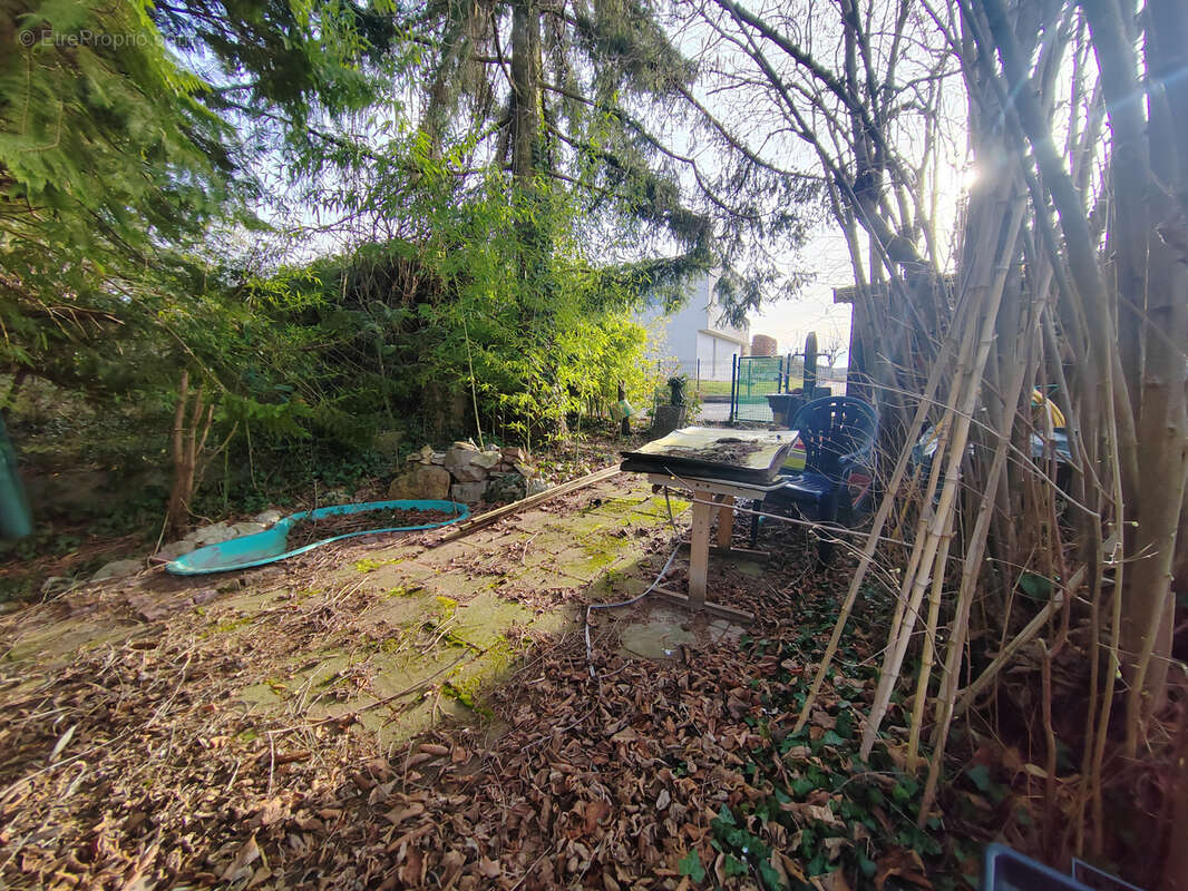 Terrain à RIEDISHEIM