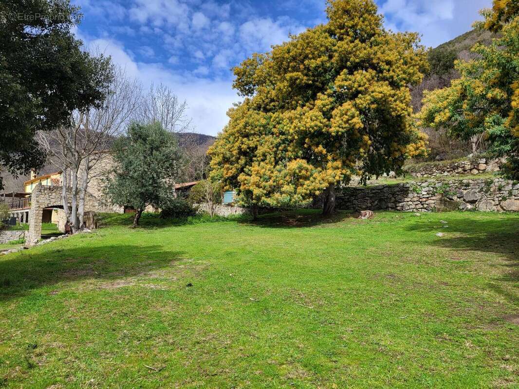 Photo 7 - Maison à ARLES-SUR-TECH