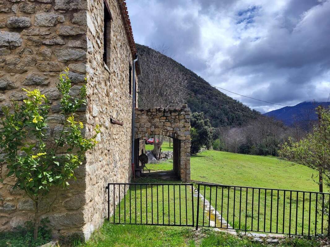 Photo 9 - Maison à ARLES-SUR-TECH