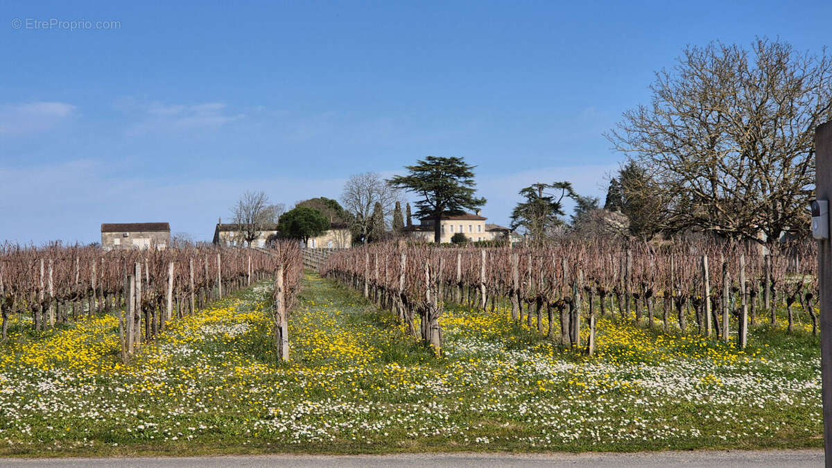 Maison à SAINT-EMILION