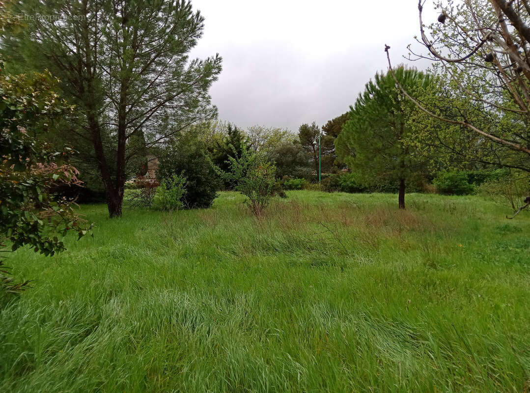 Terrain à SAINT-LAURENT-DE-CARNOLS