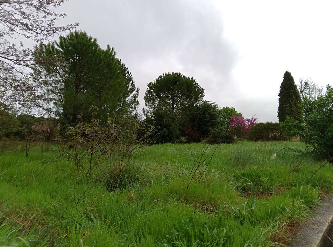 Terrain à SAINT-LAURENT-DE-CARNOLS