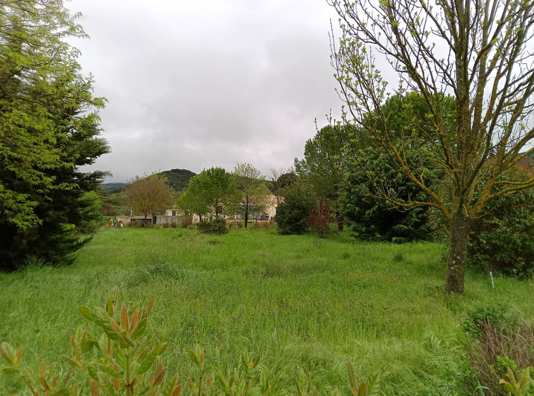 Terrain à SAINT-LAURENT-DE-CARNOLS