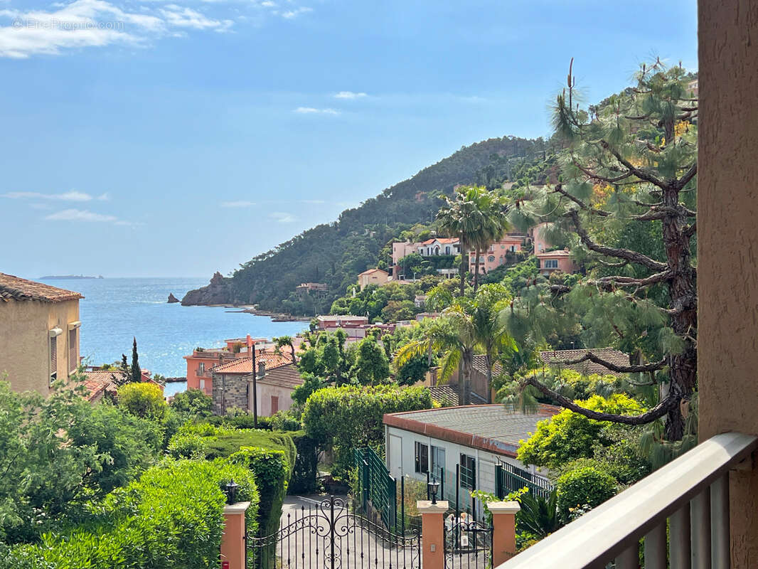 Appartement à THEOULE-SUR-MER