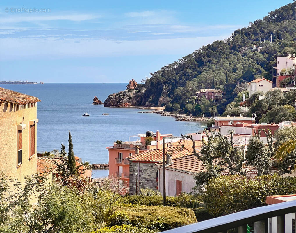 Appartement à THEOULE-SUR-MER