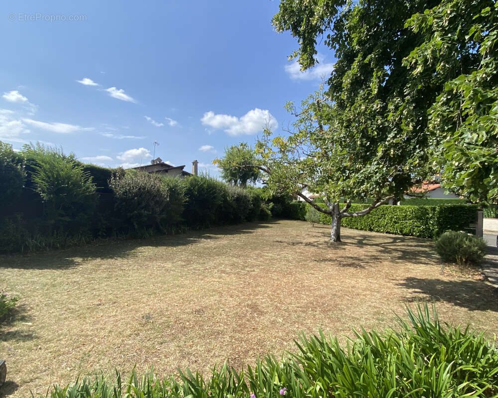 Maison à CASTELSARRASIN