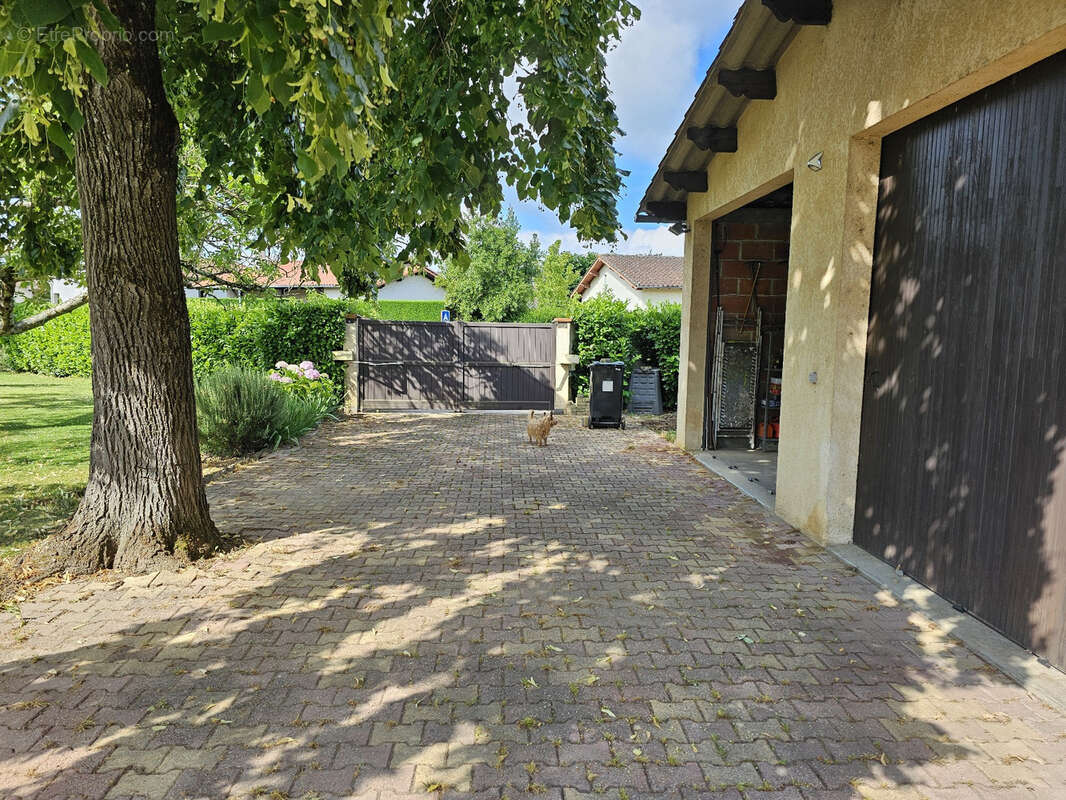 Maison à CASTELSARRASIN