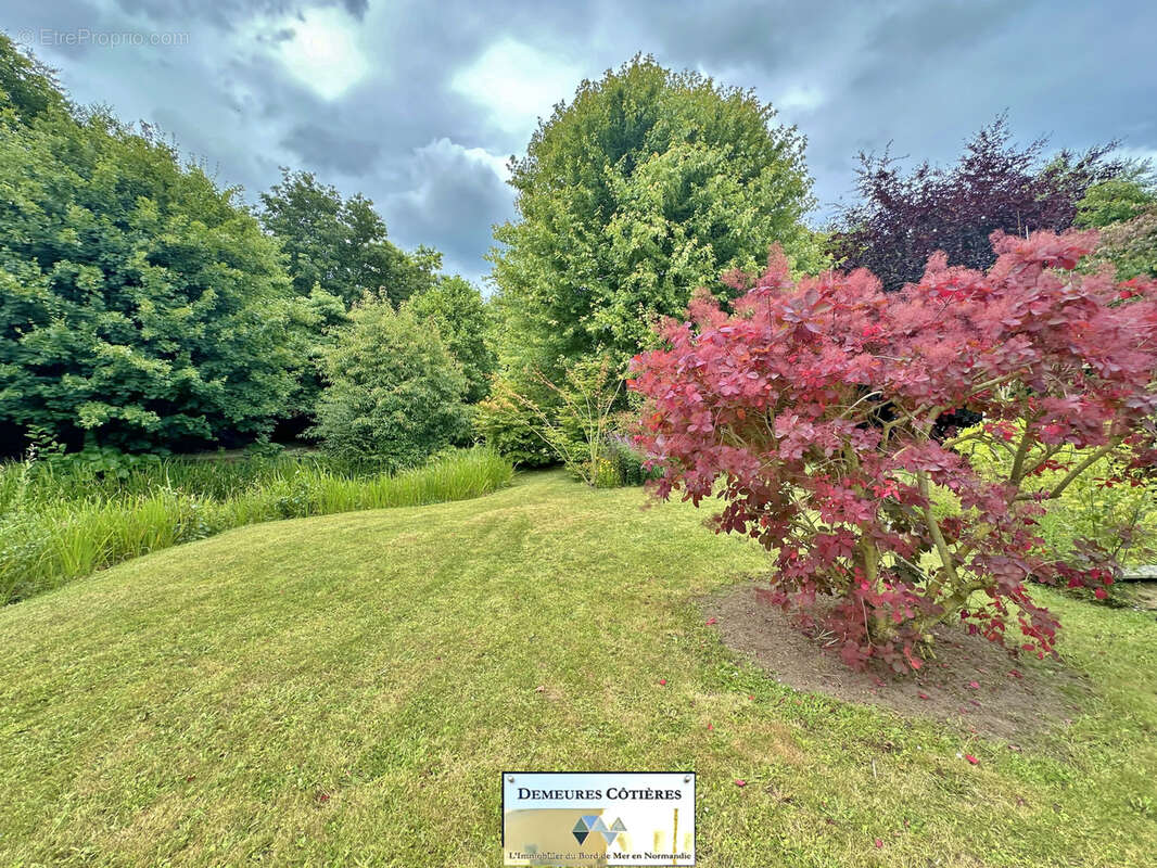 Maison à VATTETOT-SUR-MER
