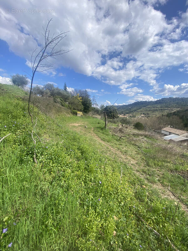 Terrain à LES VANS