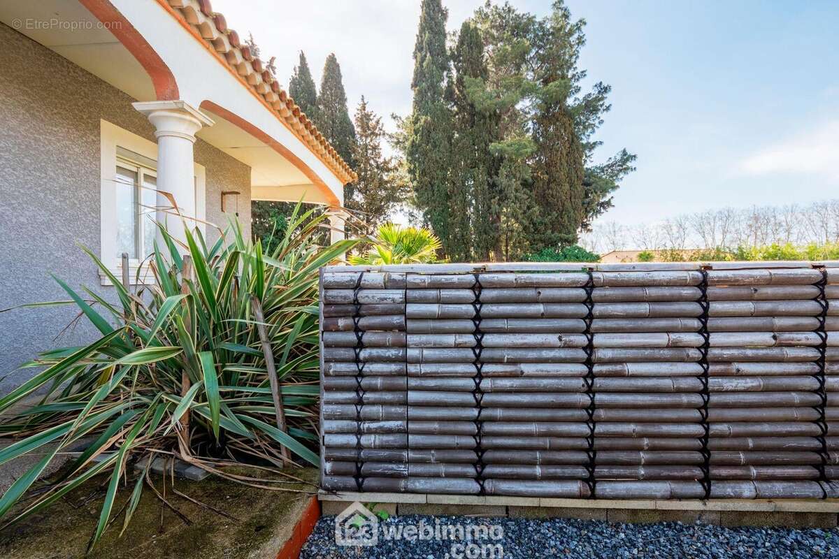 Revenons au début : jardin méditerranéen et palissade en bambou précèdent l&#039;accès à la porte d&#039;entrée - Maison à VILLENEUVE-LES-BEZIERS