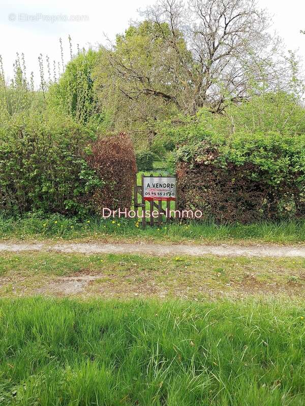 Terrain à CLERMONT-EN-ARGONNE