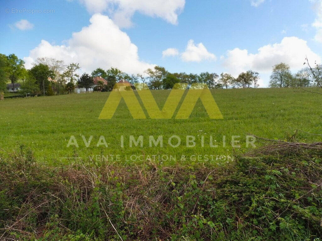 Terrain à NAVARRENX