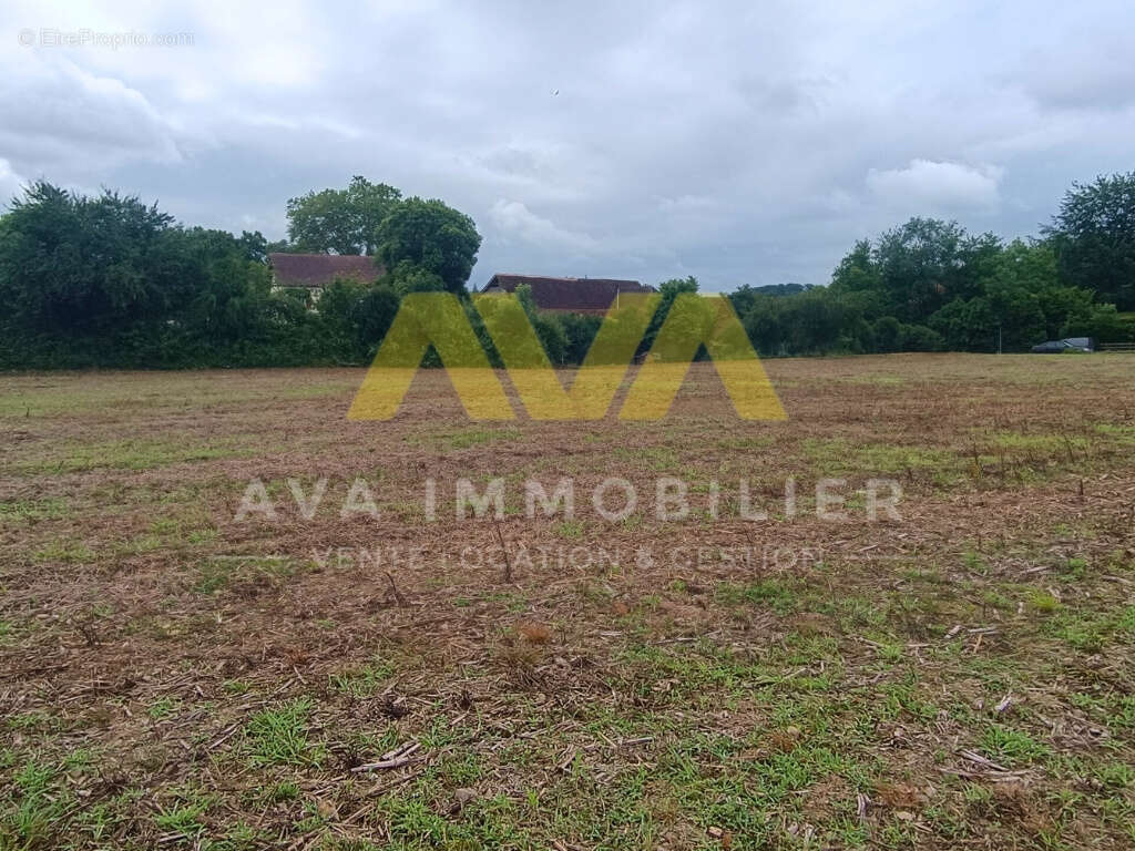 Terrain à TABAILLE-USQUAIN