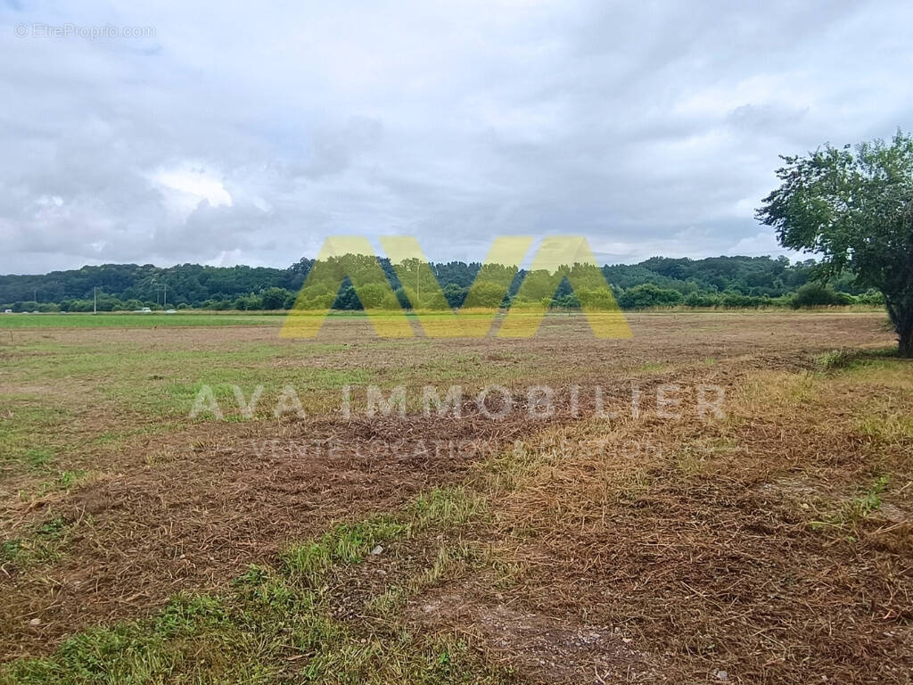 Terrain à TABAILLE-USQUAIN