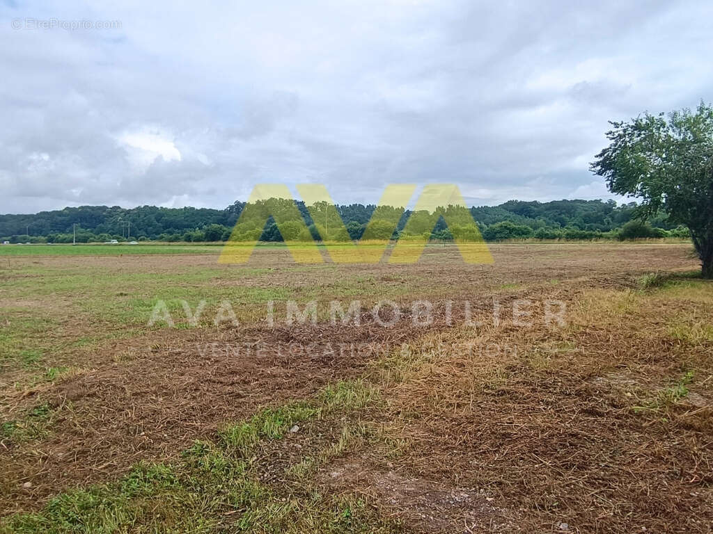 Terrain à TABAILLE-USQUAIN