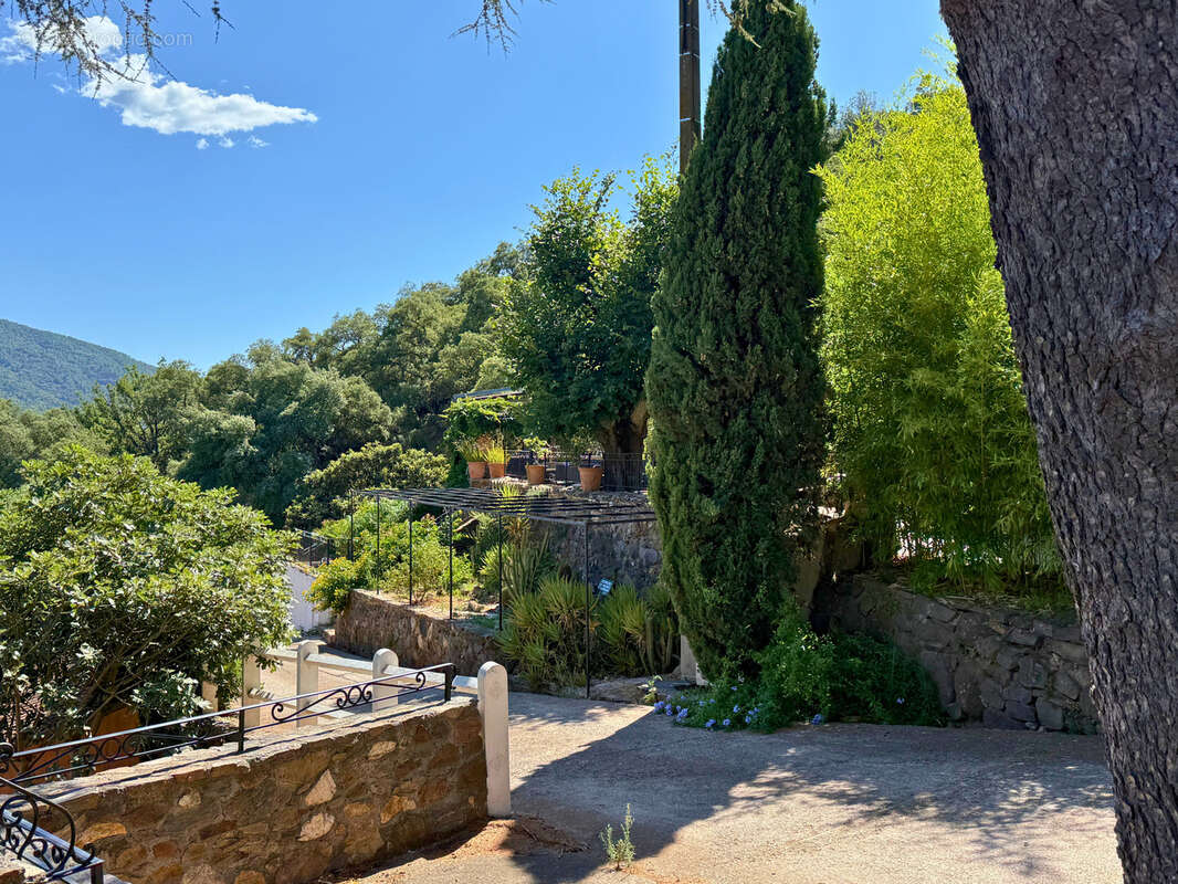 Commerce à SAINT-TROPEZ