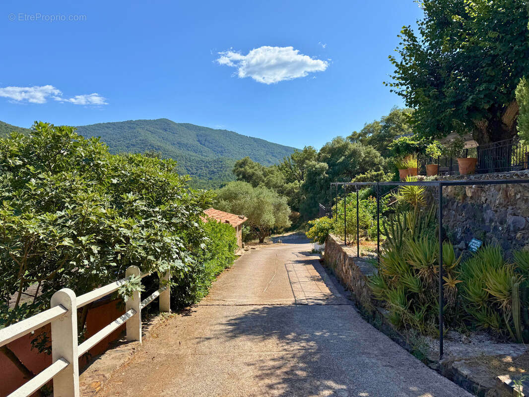 Commerce à SAINT-TROPEZ