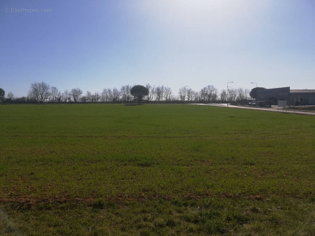 Terrain à PAMPELONNE