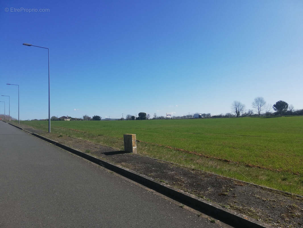 Terrain à PAMPELONNE