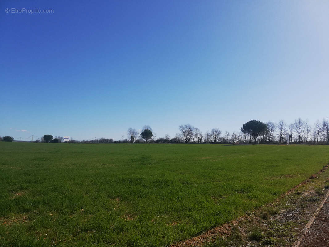 Terrain à PAMPELONNE