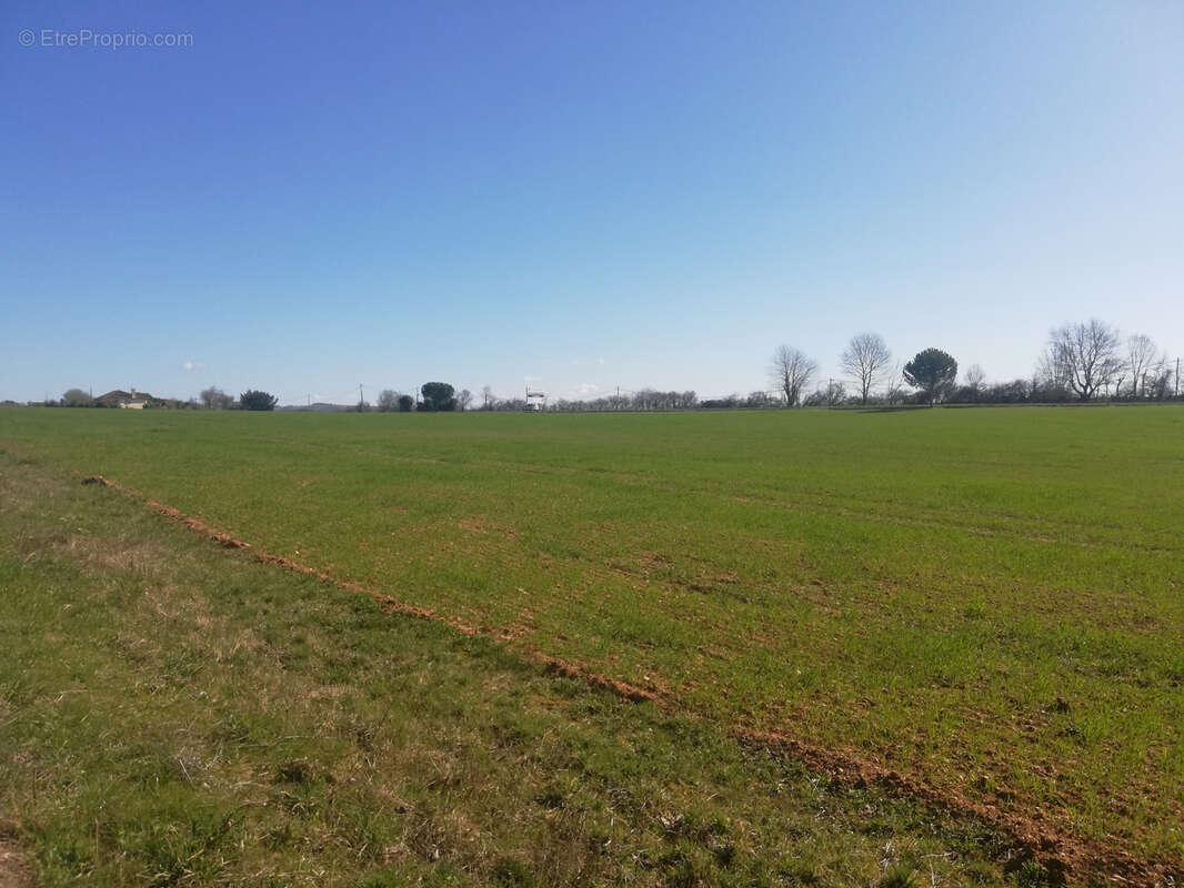 Terrain à PAMPELONNE