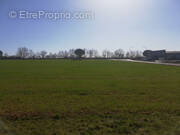 Terrain à PAMPELONNE