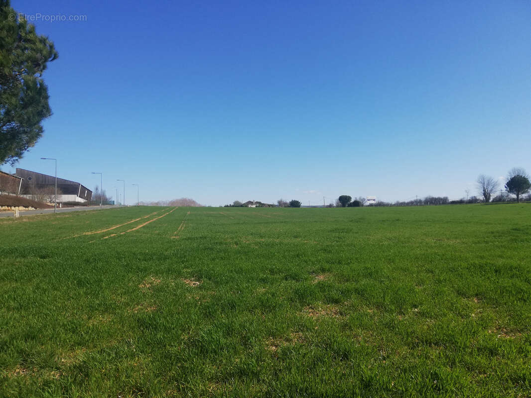 Terrain à PAMPELONNE