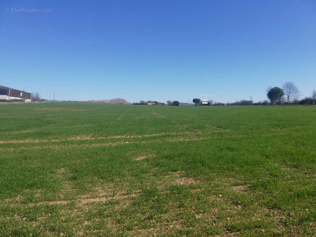 Terrain à PAMPELONNE