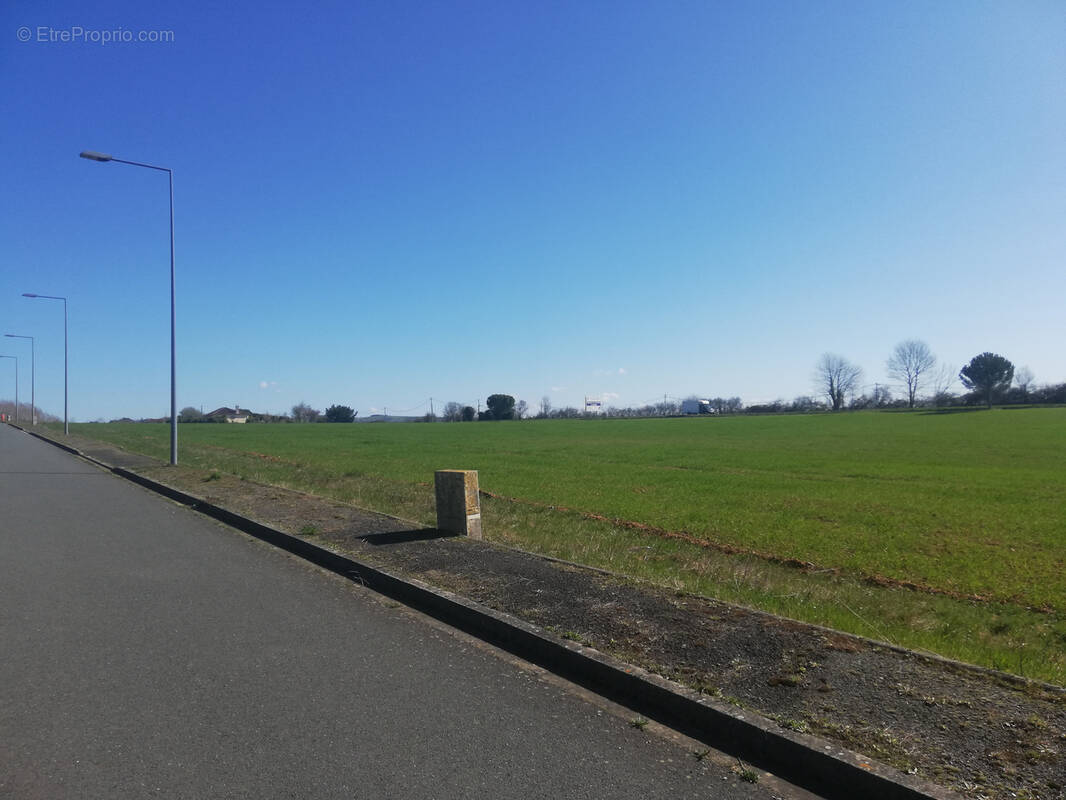 Terrain à PAMPELONNE