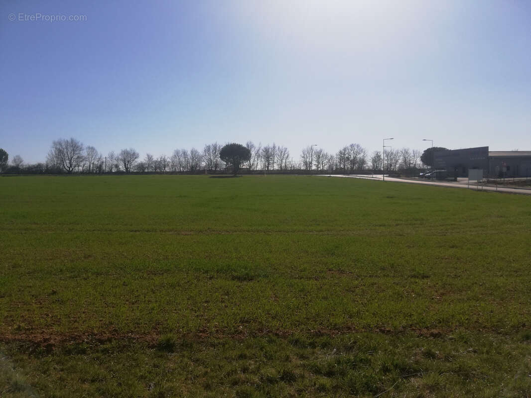 Terrain à PAMPELONNE