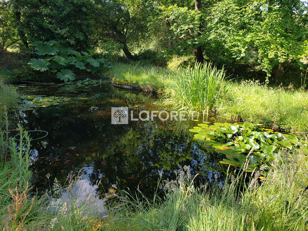 Maison à TREDREZ-LOCQUEMEAU