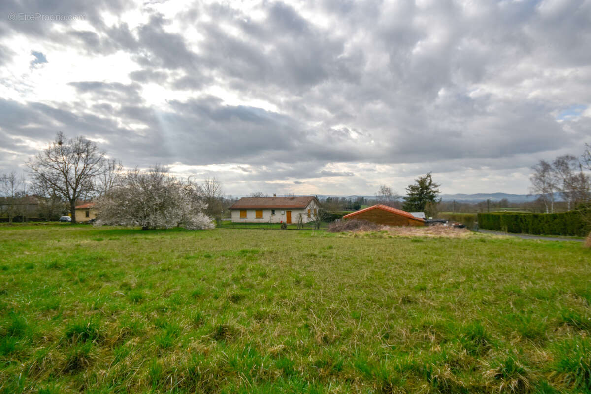 Terrain à CHAVANIAC-LAFAYETTE