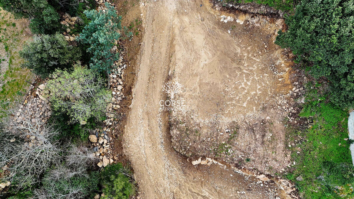 Terrain à SARI-SOLENZARA