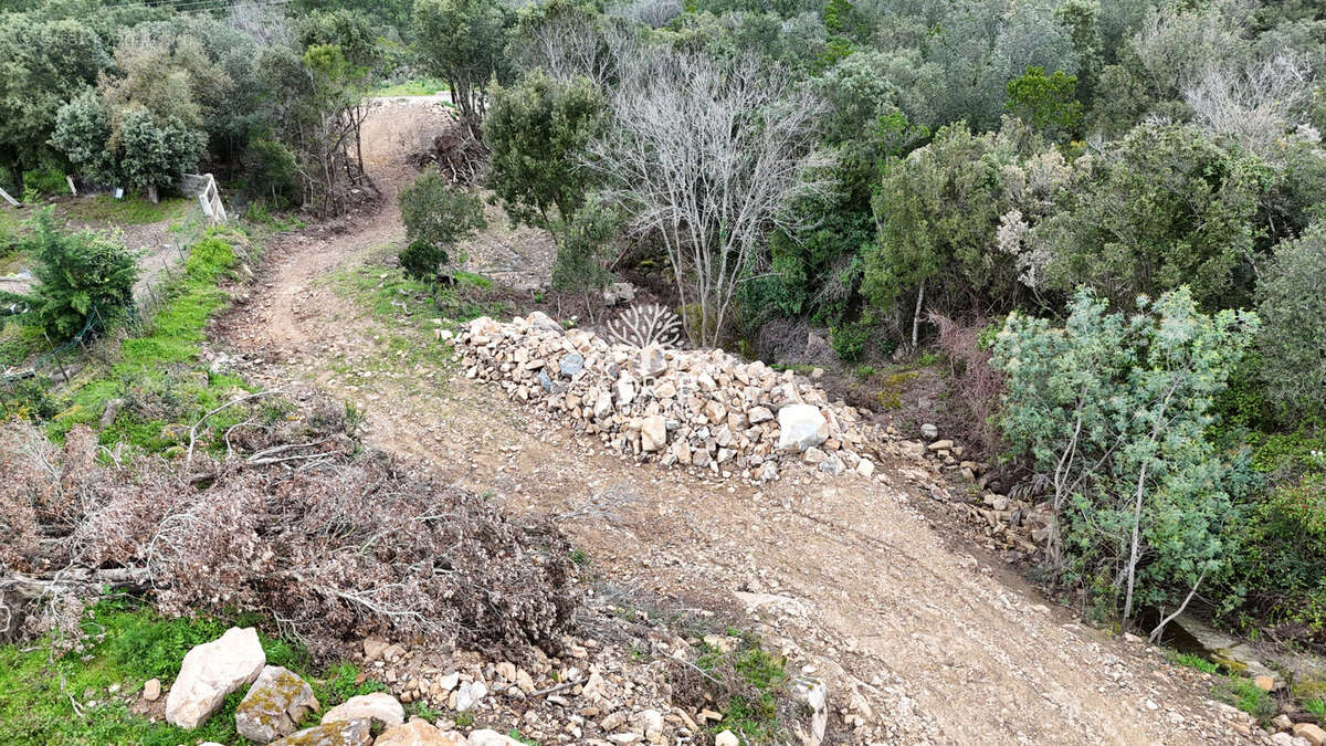 Terrain à SARI-SOLENZARA