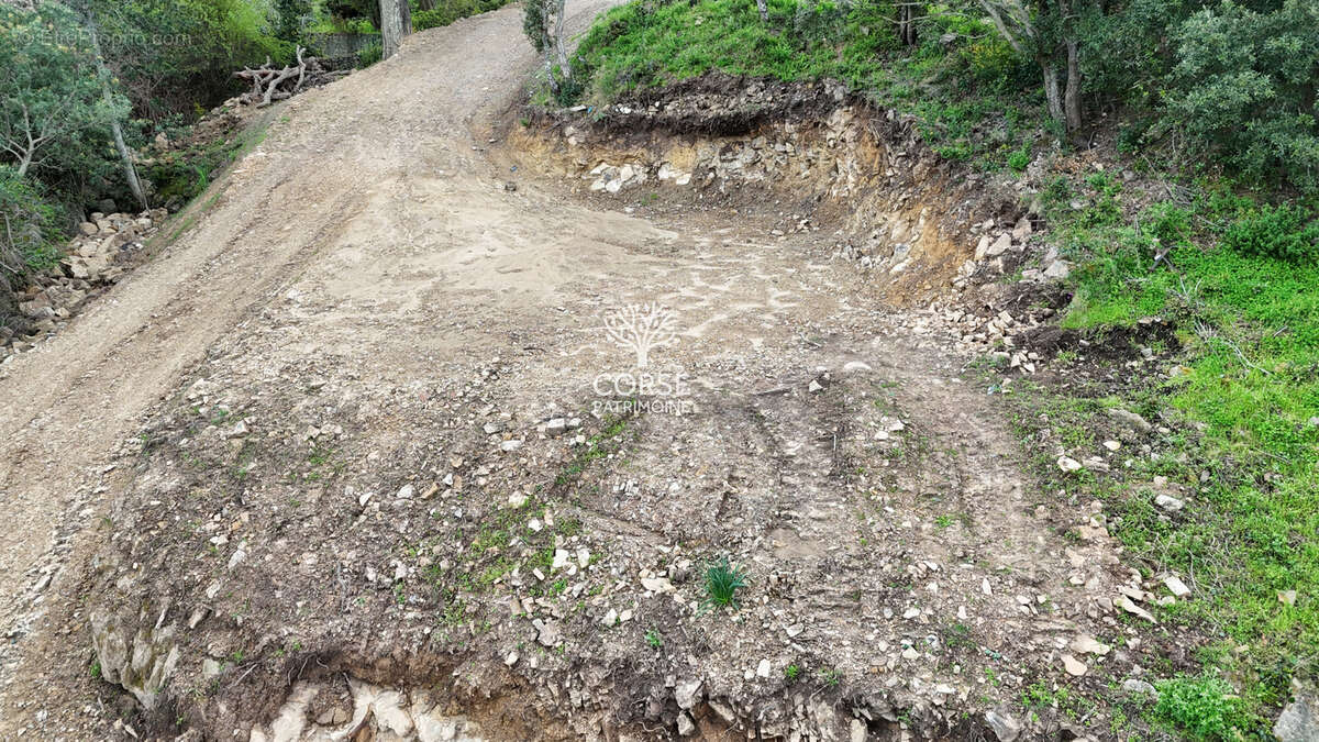 Terrain à SARI-SOLENZARA