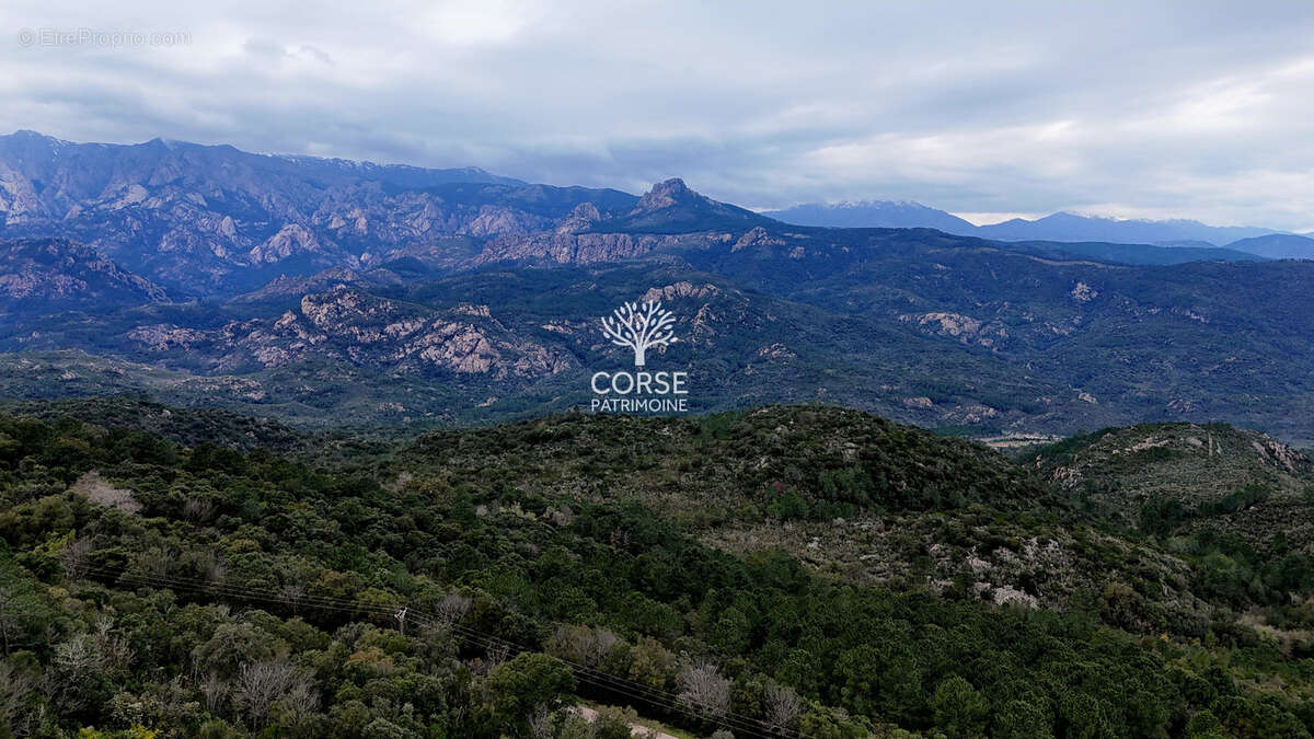 Terrain à SARI-SOLENZARA