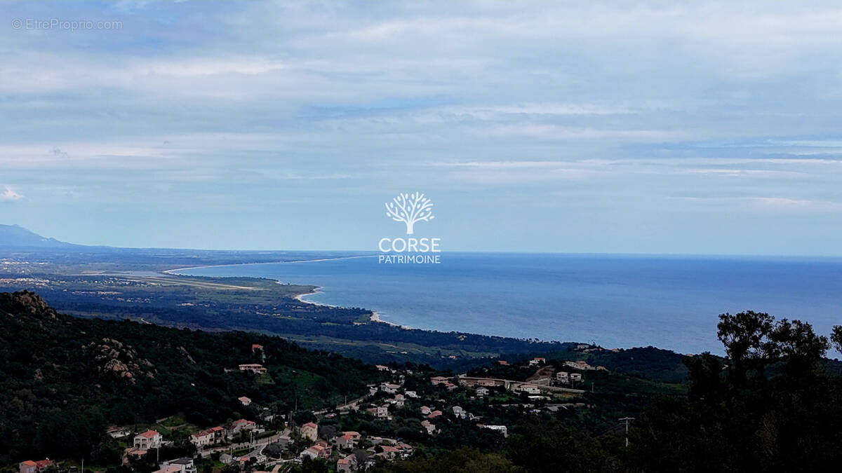 Terrain à SARI-SOLENZARA